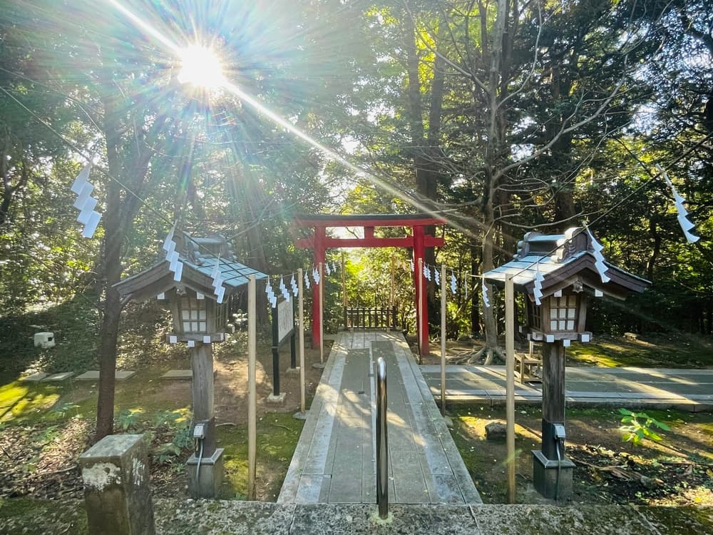 白浜神社とは──伊豆最古の宮と海に立つ鳥居
