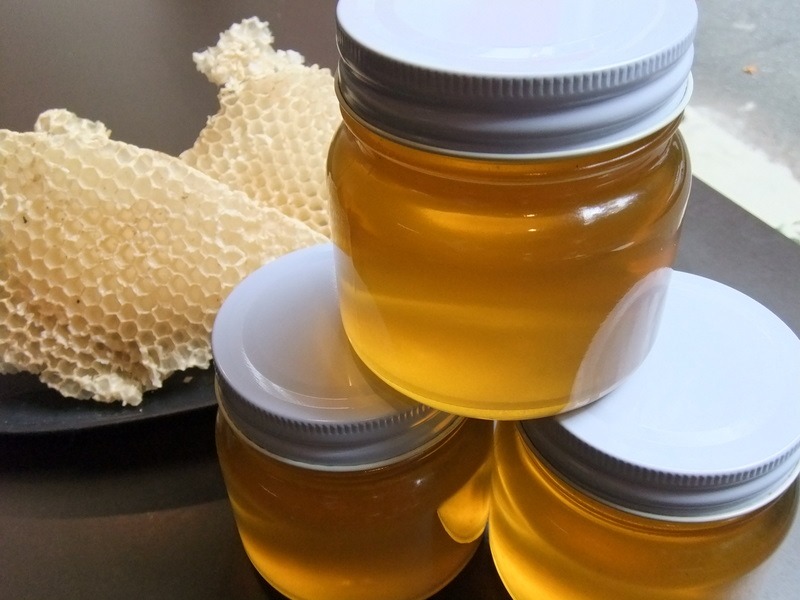 伊豆で採取した国産蜂蜜