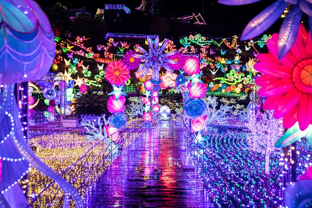 夜に楽しむ！伊豆ぐらんぱる公園『グランイルミ』でイルミネーションと光のアトラクションを満喫