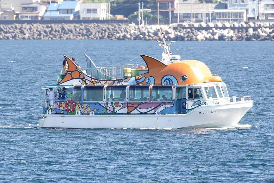 遊覧船──カモメと一緒に海上クルーズ