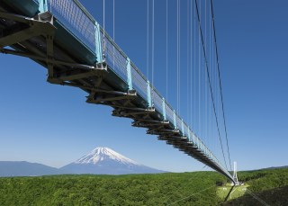 【三島スカイウォーク】全長400m！ 日本最長の大吊橋から望む絶景富士山