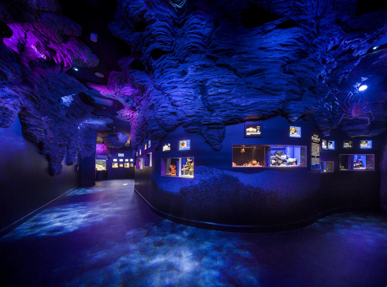 世界初！ 深海に特化した水族館「沼津港深海水族館 シーラカンス・ミュージアム」