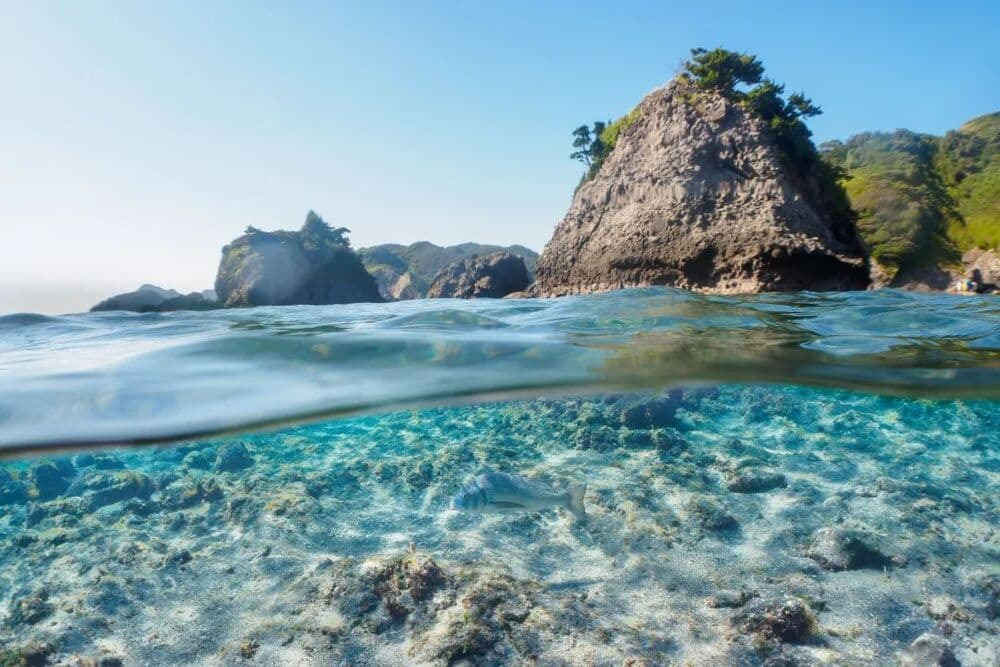 ヒリゾ浜のベストシーズン──いちばん美しい時期と混雑・天候