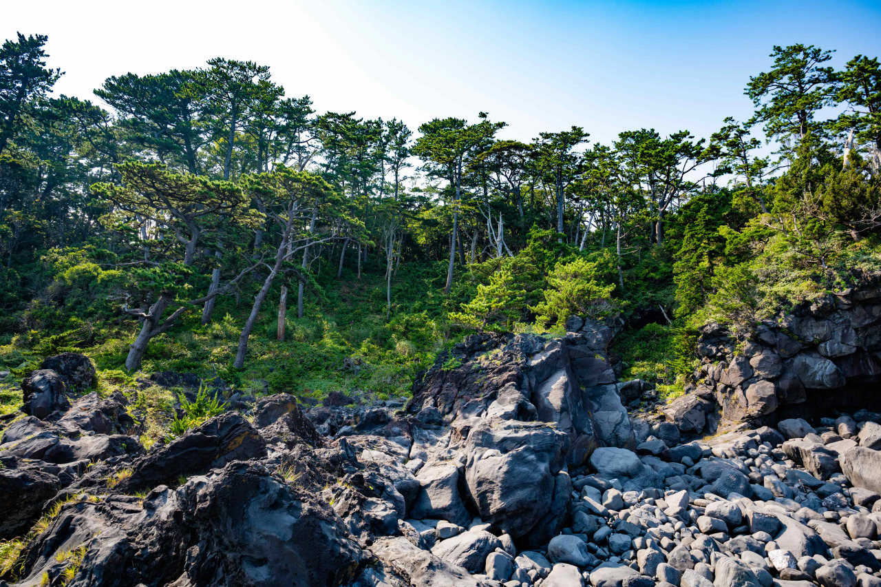 城ヶ崎海岸を安全に楽しむための5つの注意点