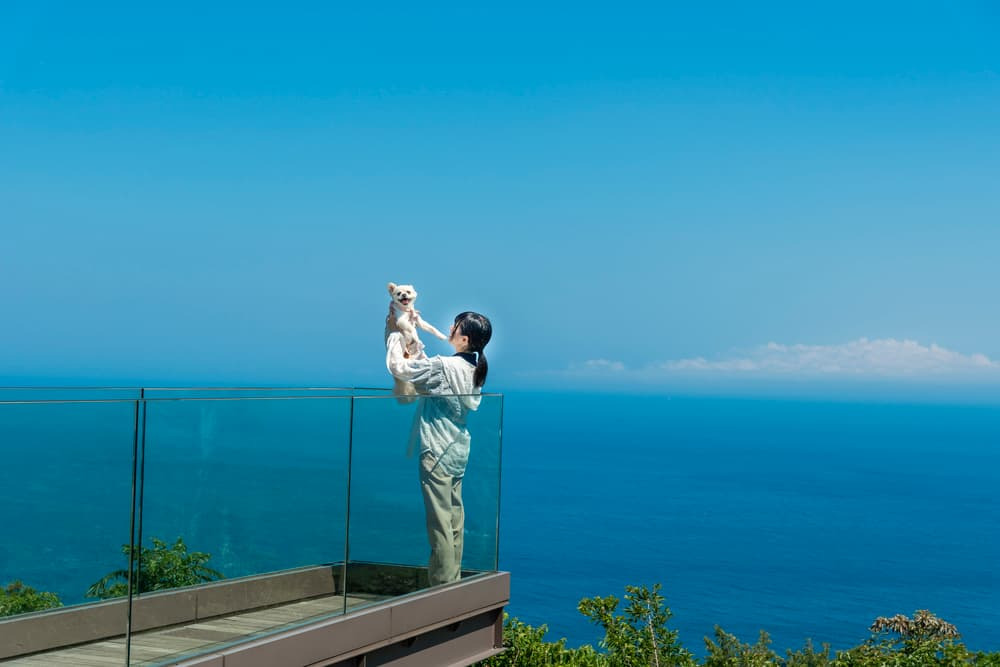 愛犬とも楽しめるのがうれしい