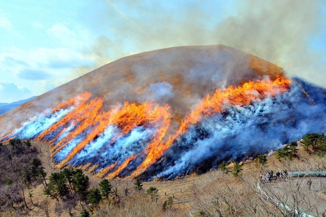 【大室山の山焼き】伊豆に春を告げる。年に一度だけ見ることができる炎で真っ赤に染まる山肌