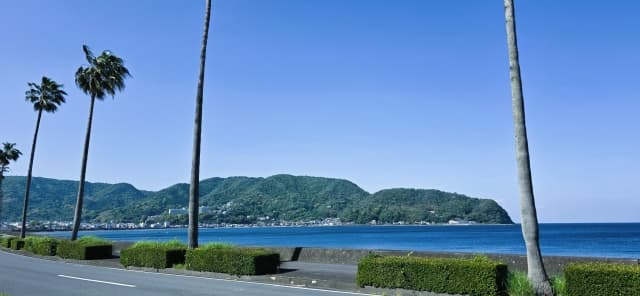 車で行く河津七滝｜海と山の景色を楽しむルートガイド
