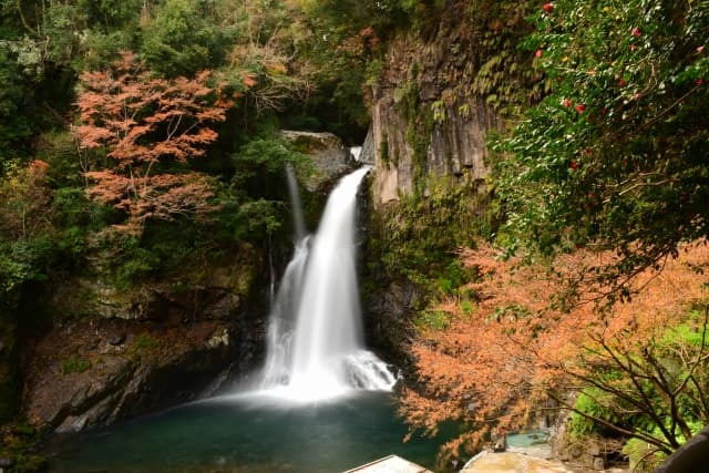 河津七滝の四季を楽しむ｜春の賑わい、夏の涼感、秋の紅葉