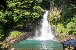 【河津七滝】変化に富んだ7つの滝をめぐるヒーリングスポット