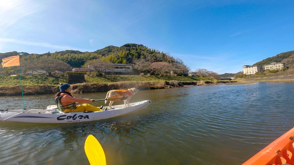 「湊CAFÉ＆PIRATES　Sea Kayak Adventure」で家族みんなでシーカヤック体験