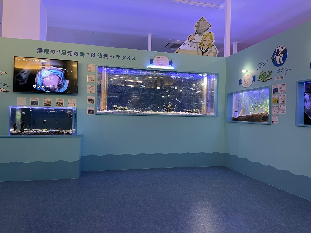 【幼魚水族館】小さくかわいい魚たちのたくましさと壮大なロマンにふれる