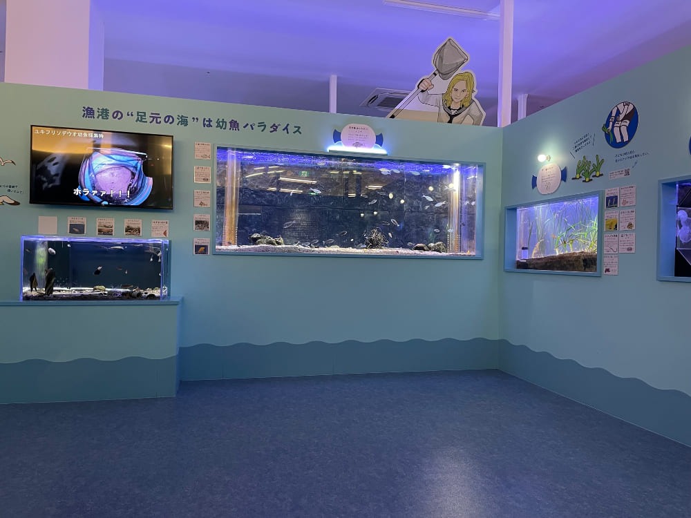 幼魚水族館【清水町】