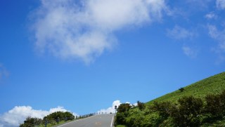 【船原峠バス停から達磨山へ】はじめてのハイキング体験記