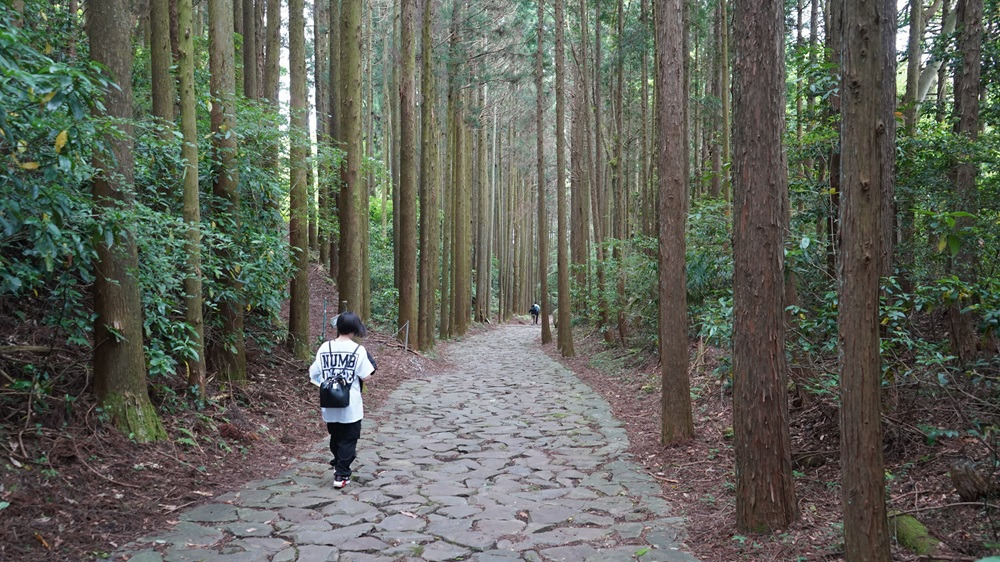 情緒のある、石畳の道