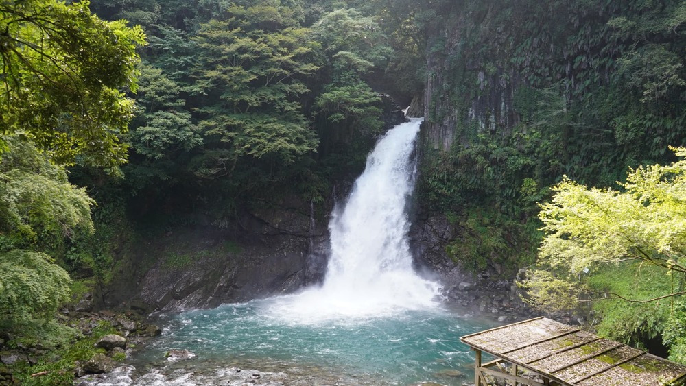 【中伊豆】河津の見どころを巡る、旧天城トンネル&河津七滝めぐりのハイキング旅