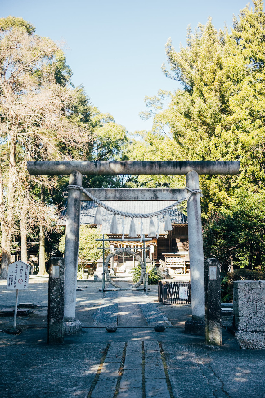 「川津来宮神社（かわづきのみやじんじゃ）」の御神木と御守にパワーをもらう