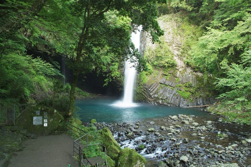 【ハイキング体験】天城山トレイルと浄蓮の滝