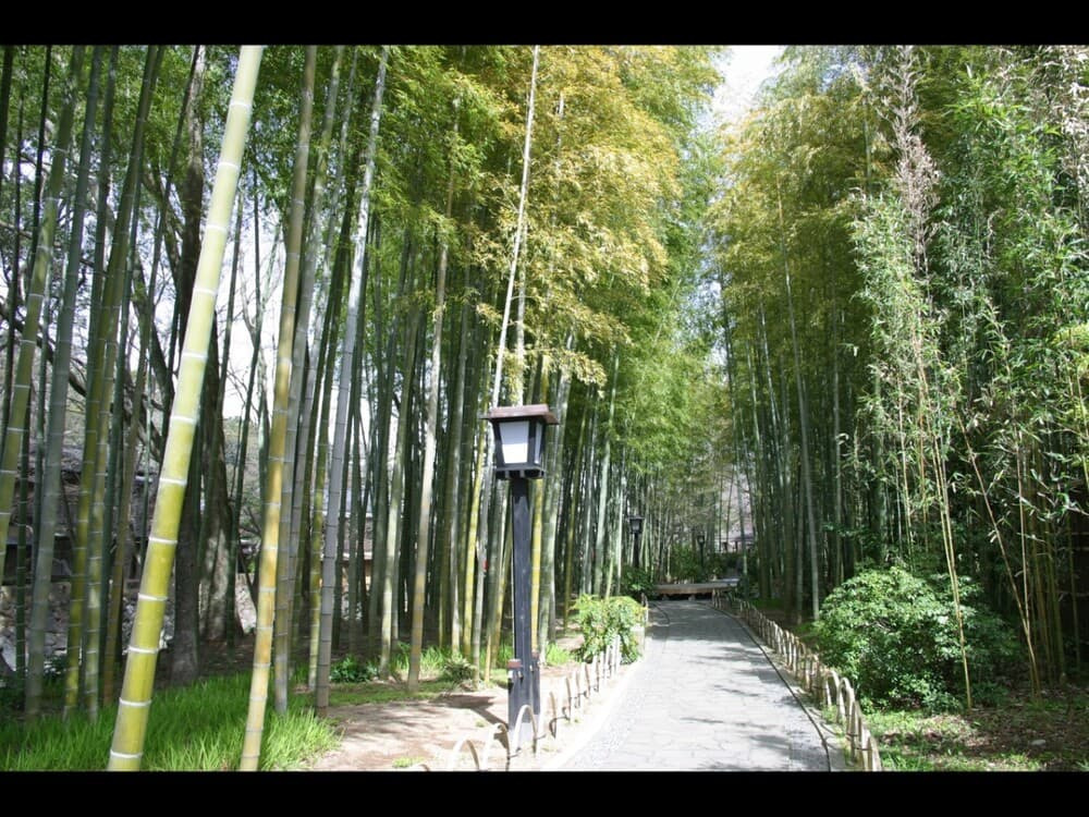 竹林の小径