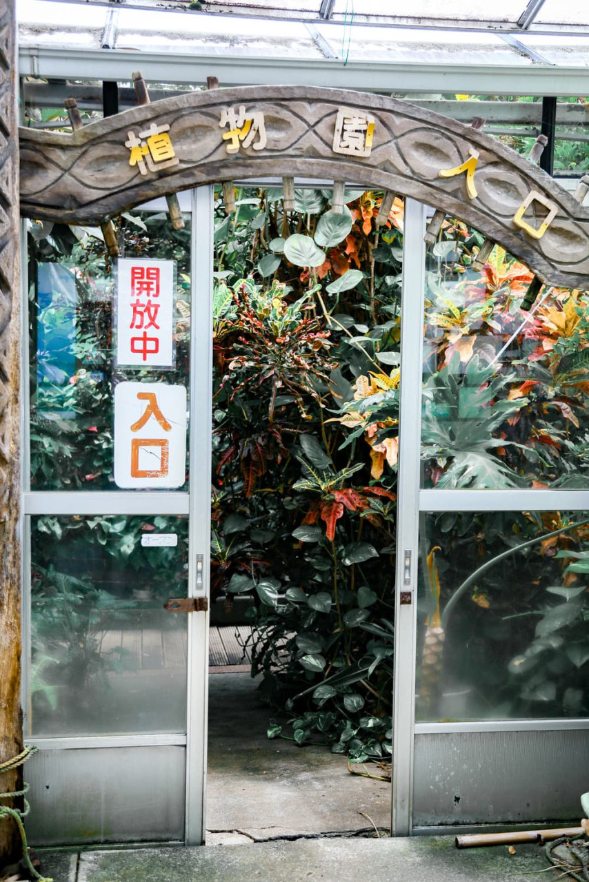 「下賀茂熱帯植物園」で南国気分を味わう