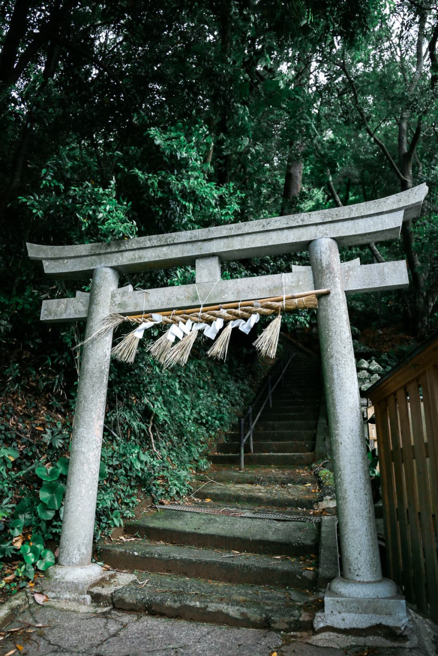 絶景を求め「雲見浅間神社」へ
