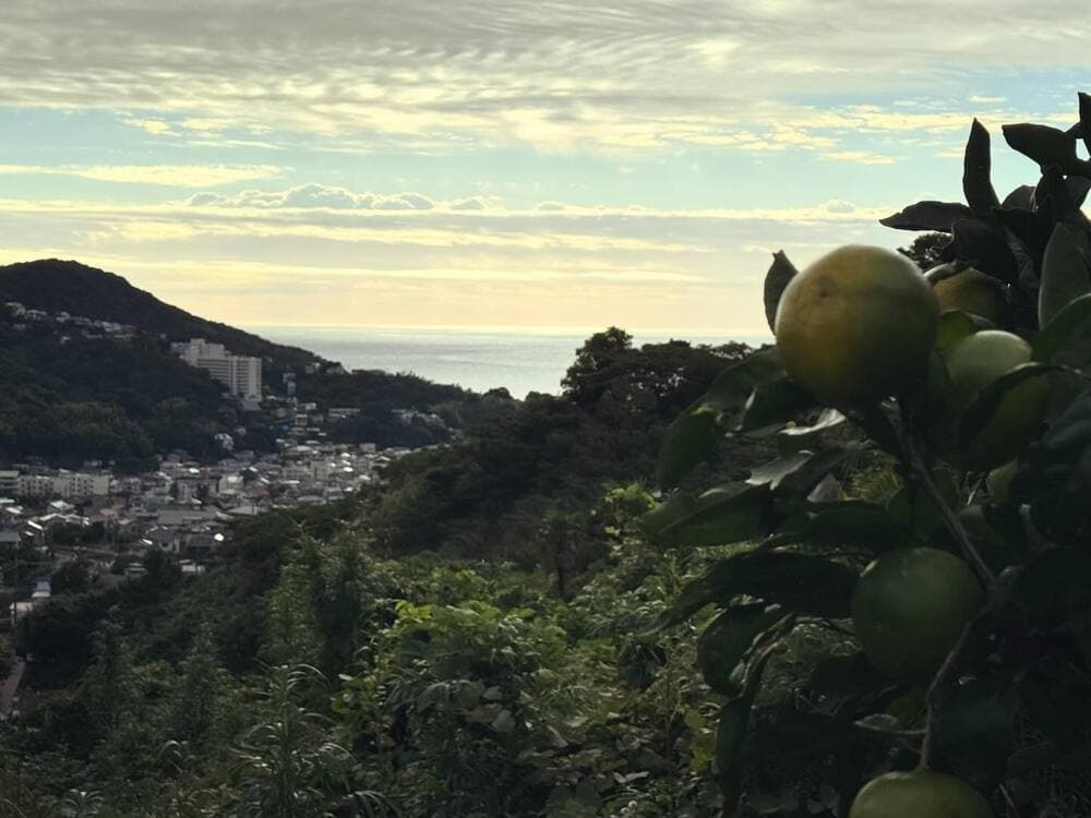 泰山園（伊東市）