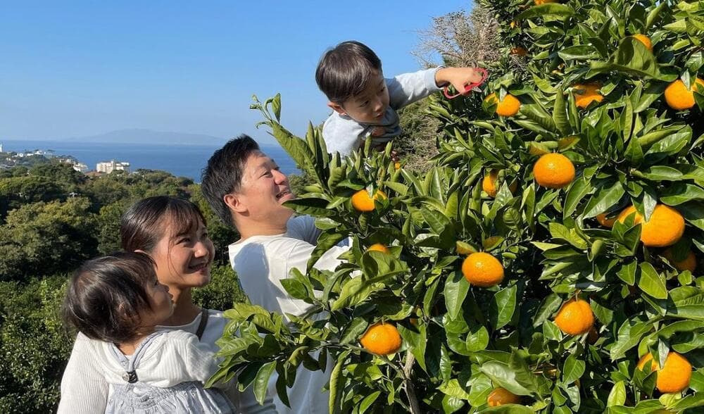 収穫体験農園 ふたつぼり（東伊豆町稲取）
