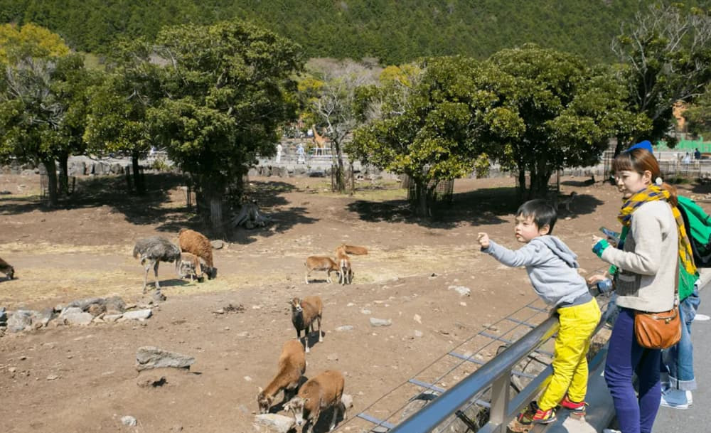 犬とサファリ＆遊園地を満喫！「伊豆アニマルキングダム」