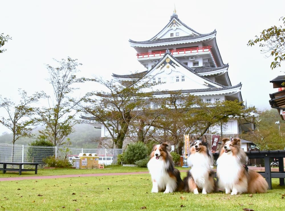 愛犬と巡る絶景天守閣！ 「熱海城」