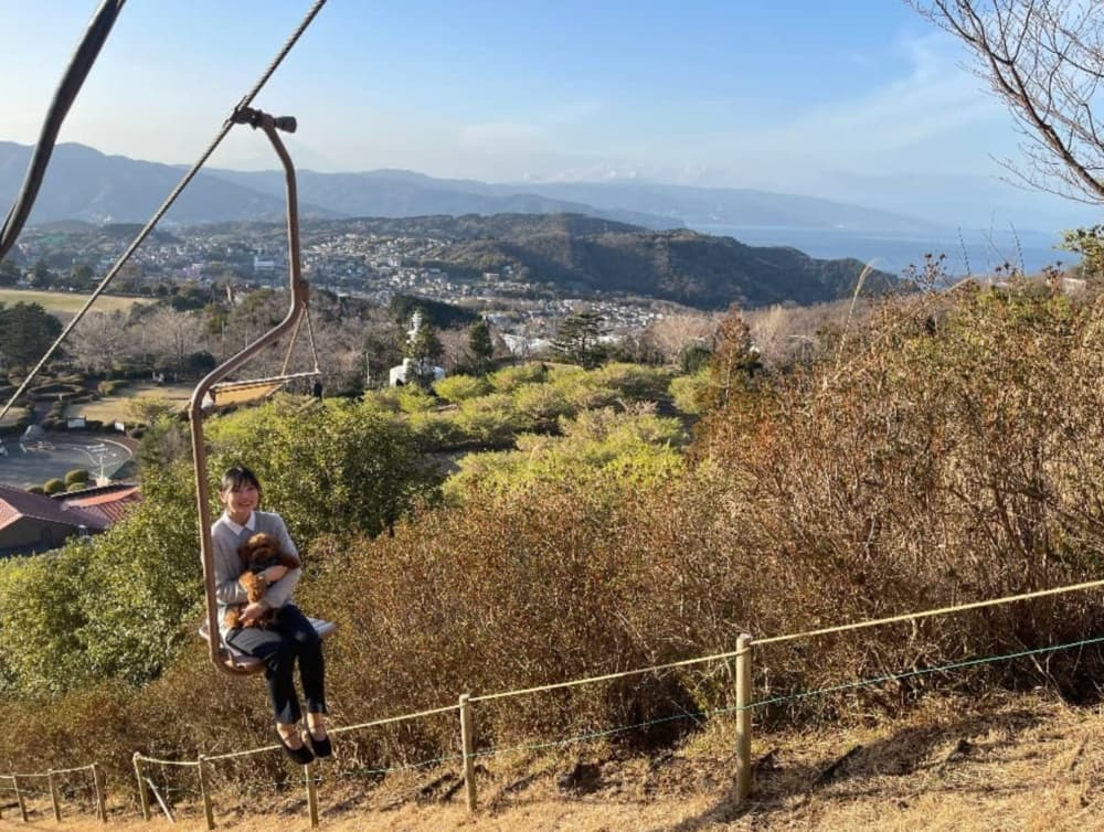 愛犬と伊豆にお出かけ｜ペット同伴OKのおすすめ観光スポット5選