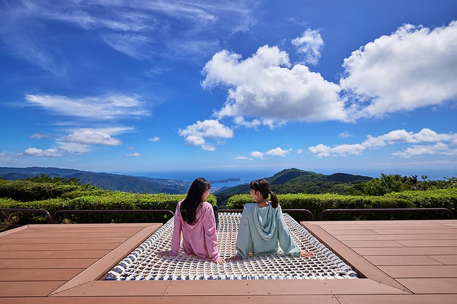 【十国峠完全ガイド】絶景・アクセス・グルメ・アクティビティを徹底紹介！