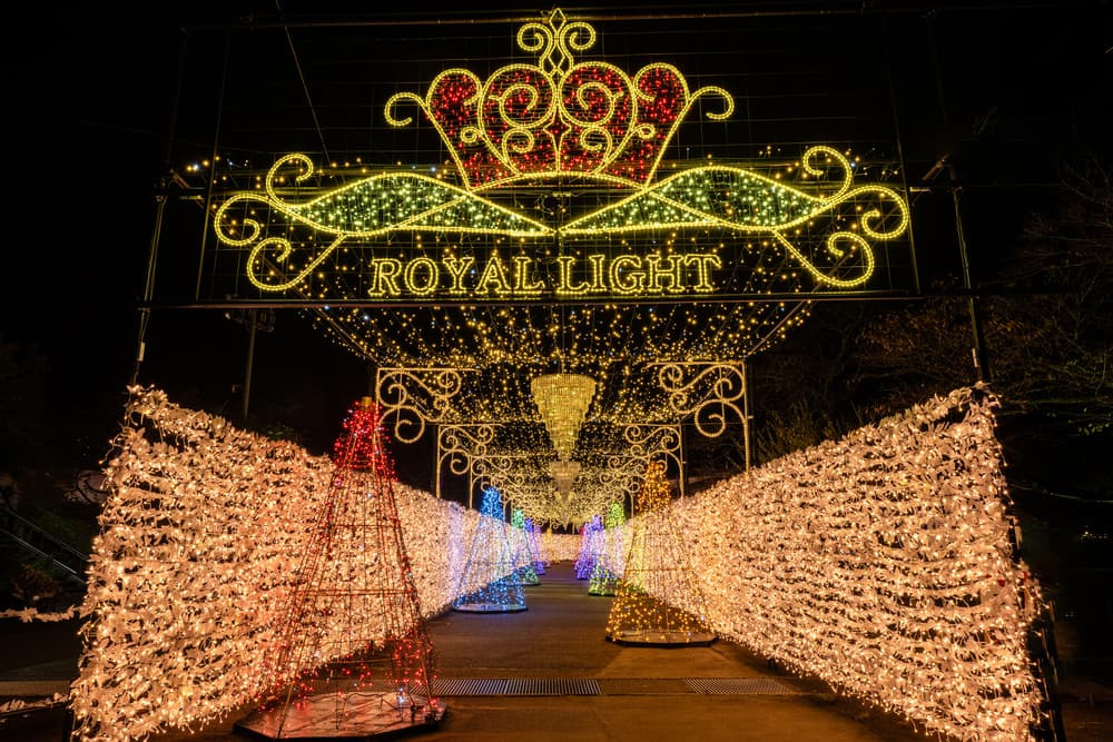 まとめ：冬の思い出は時之栖で