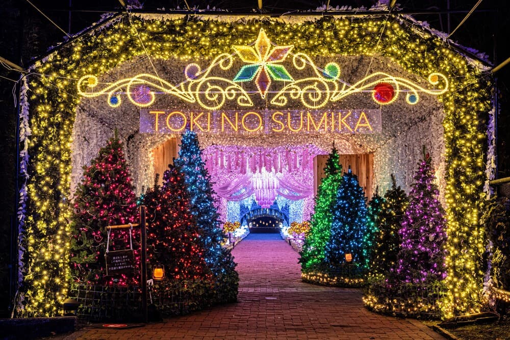 時之栖イルミネーションの魅力：「ひかりのすみか」2025-2026