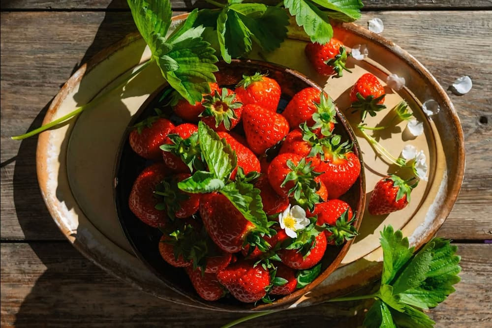 宿泊業から農業へ&mdash;&mdash;&ldquo;地産地消の未来&rdquo;への挑戦も