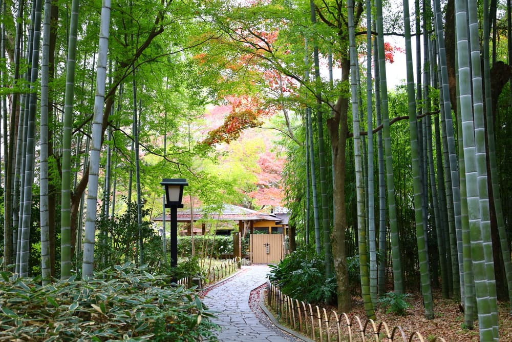 修善寺温泉街で歴史散策