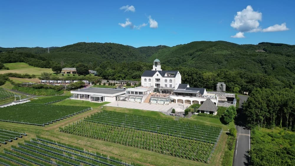 【中伊豆ワイナリーヒルズ】完全ガイド！見どころ・食事・アクセスまで徹底解説