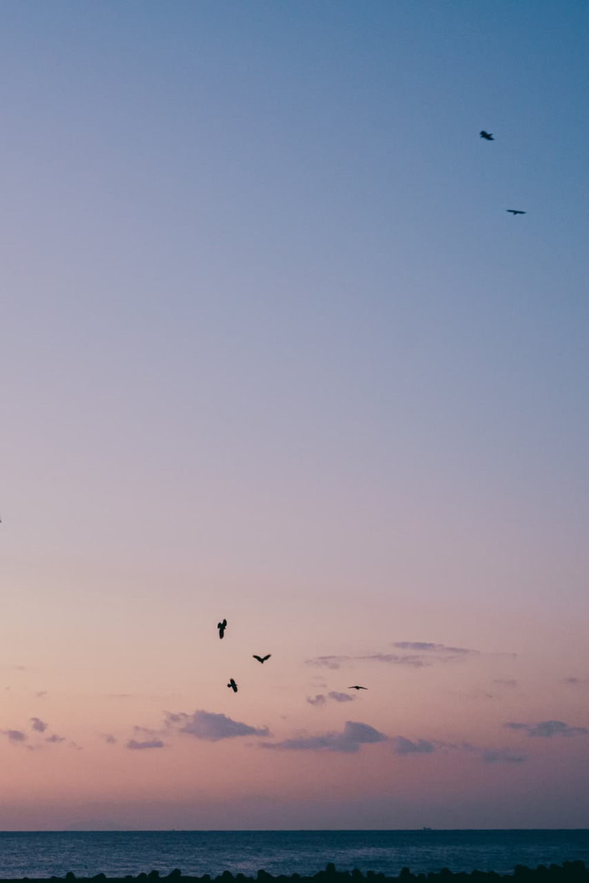 早起きをして日の出を見に「熱川YOU湯ビーチ」へ