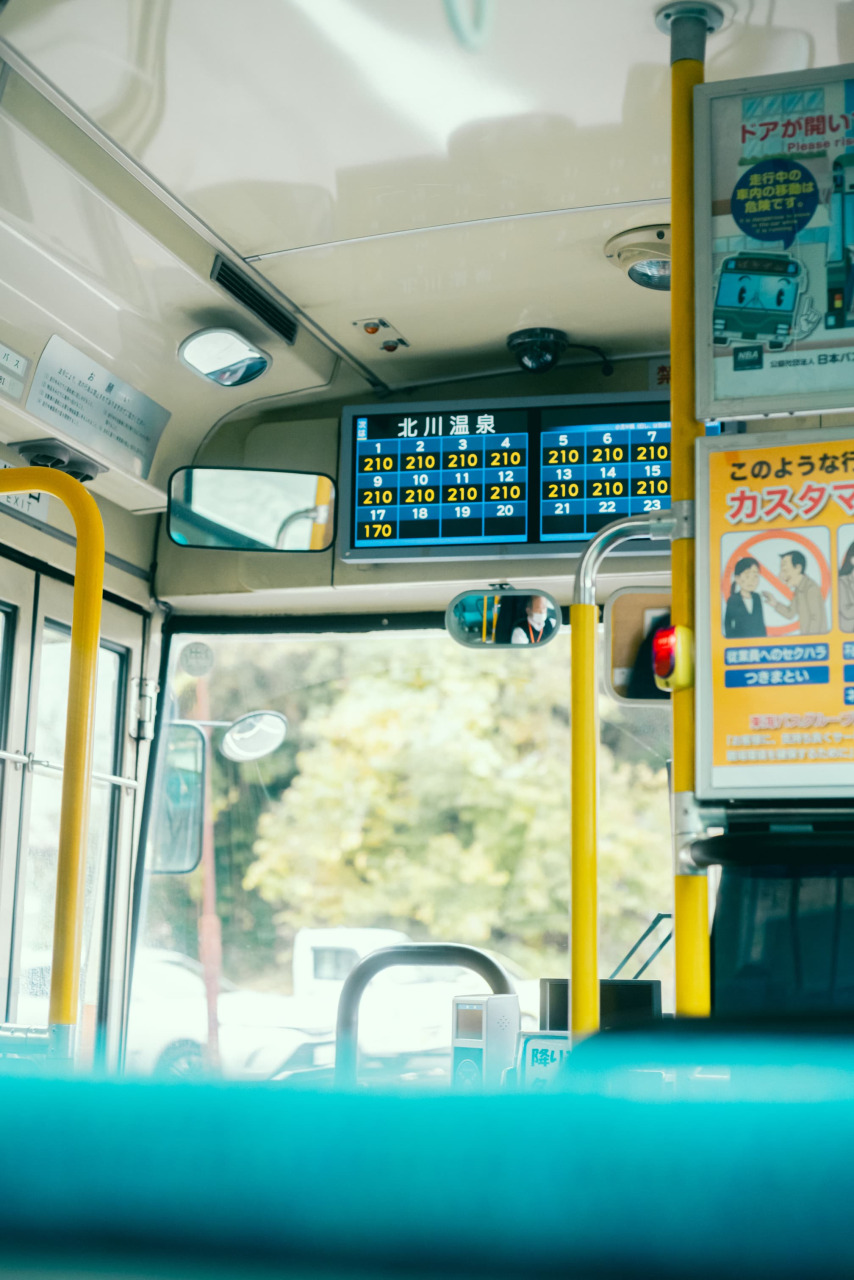 静かな海とマイペースな猫たちに癒やされる「北川温泉」