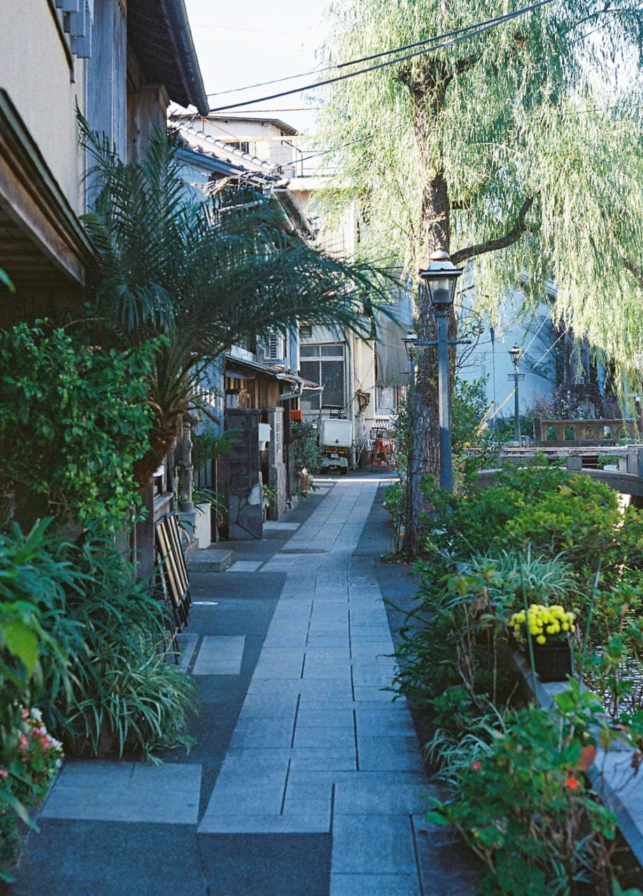 ただ歩くだけで楽しい「下田ペリーロード」