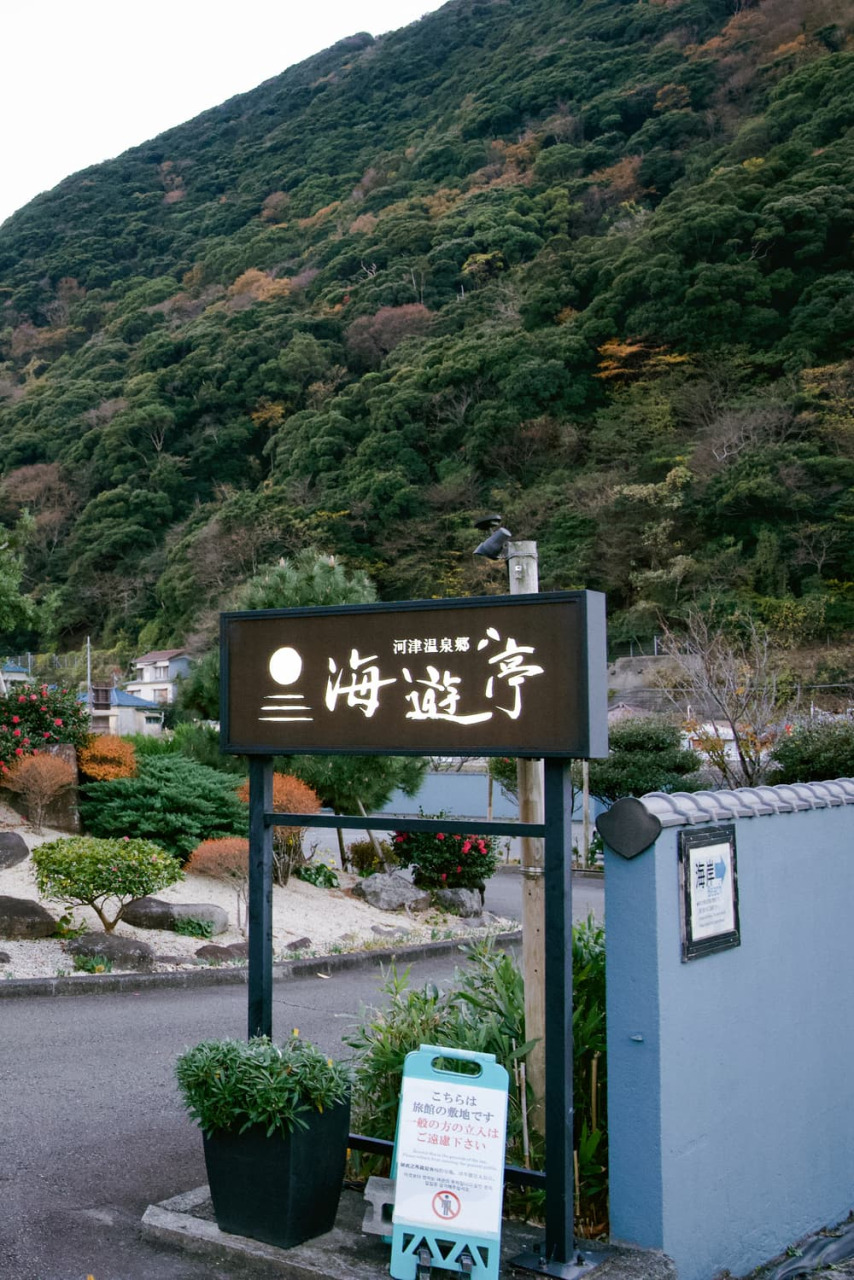 全室オーシャンフロント「河津温泉郷 海遊亭」