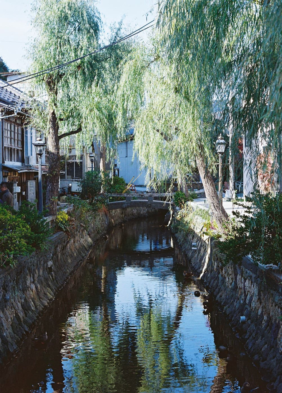 新鮮な海鮮ランチがいただける「下田海鮮 厨」