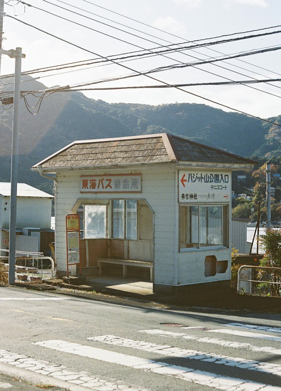 国の天然記念物を有する古社「川津来宮神社」