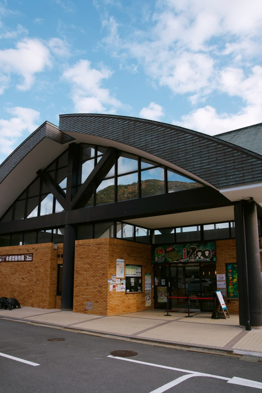 爬虫類との距離がぐっと縮まる、体感型動物園「iZoo」