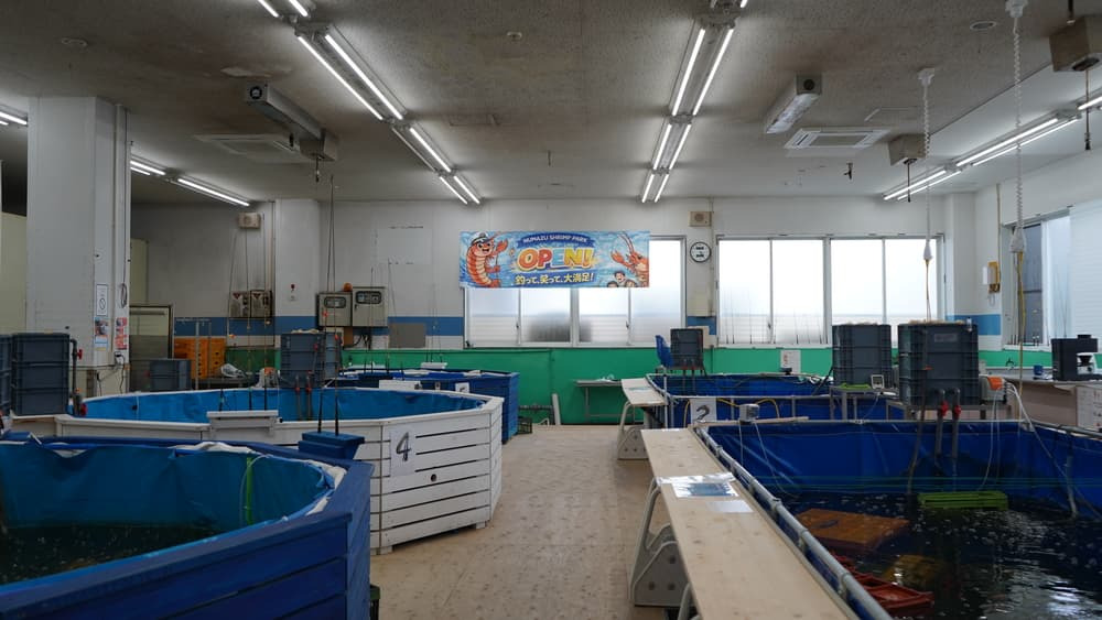 魅力① 天候に左右されない！屋内釣り堀