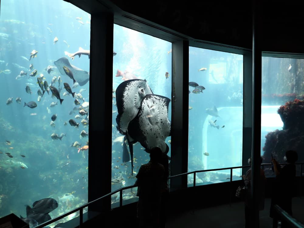 下田海中水族館(下田市)