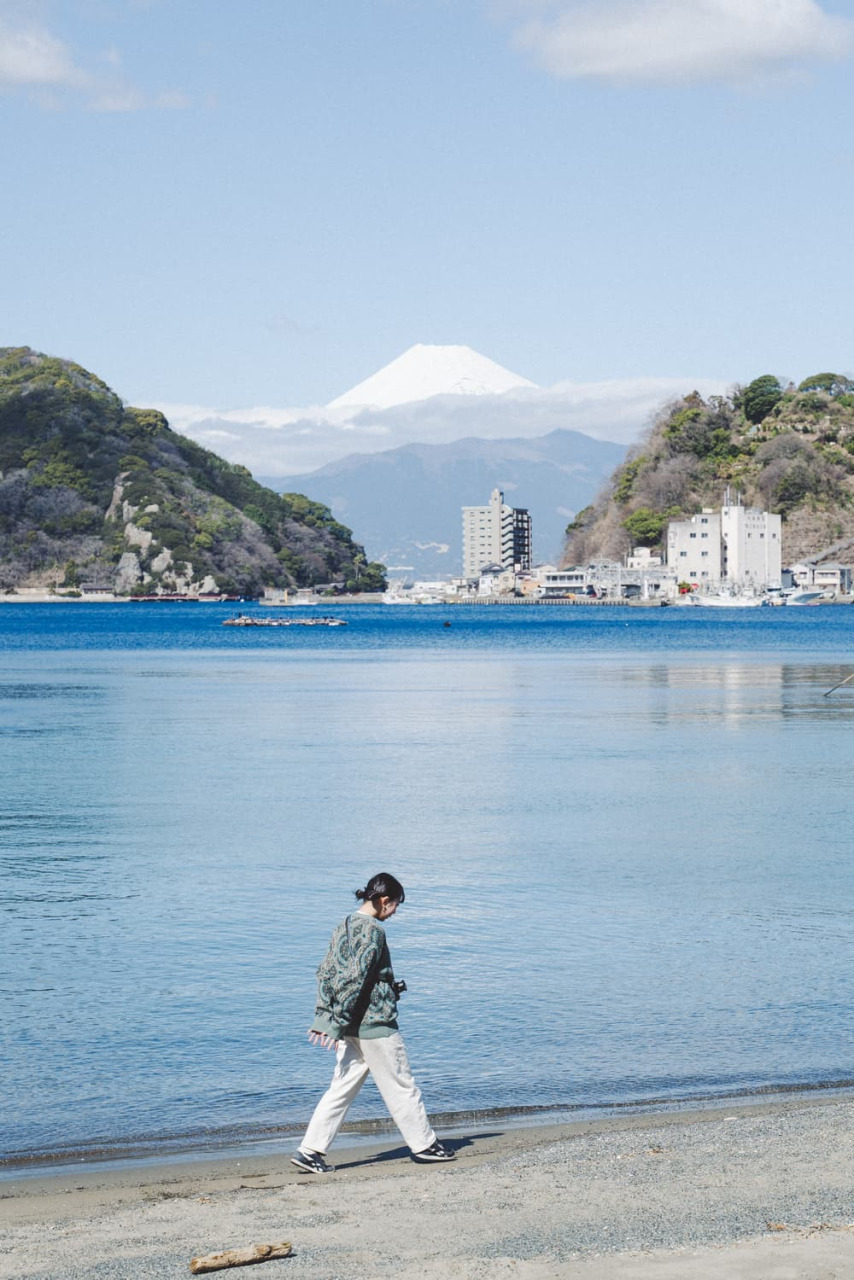 「三津海岸」で気ままにビーチコーミング