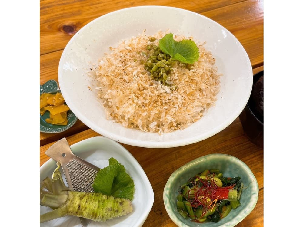 お食事処で伊豆・天城の料理を味わう。「山のレストラン 緑の森」