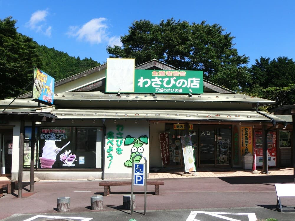 特産グルメはぜひ味わって。「わさびソフト」はリピーターも！ わさび加工体験もできる「天城わさびの里」
