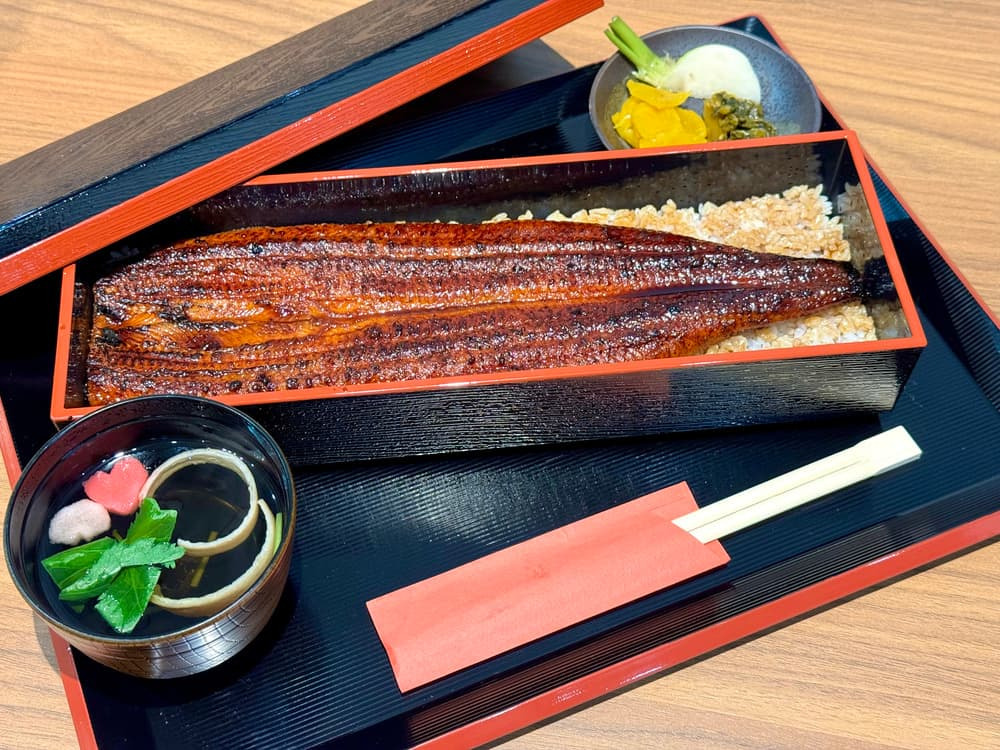 驚愕！うなぎ1匹蒲焼膳