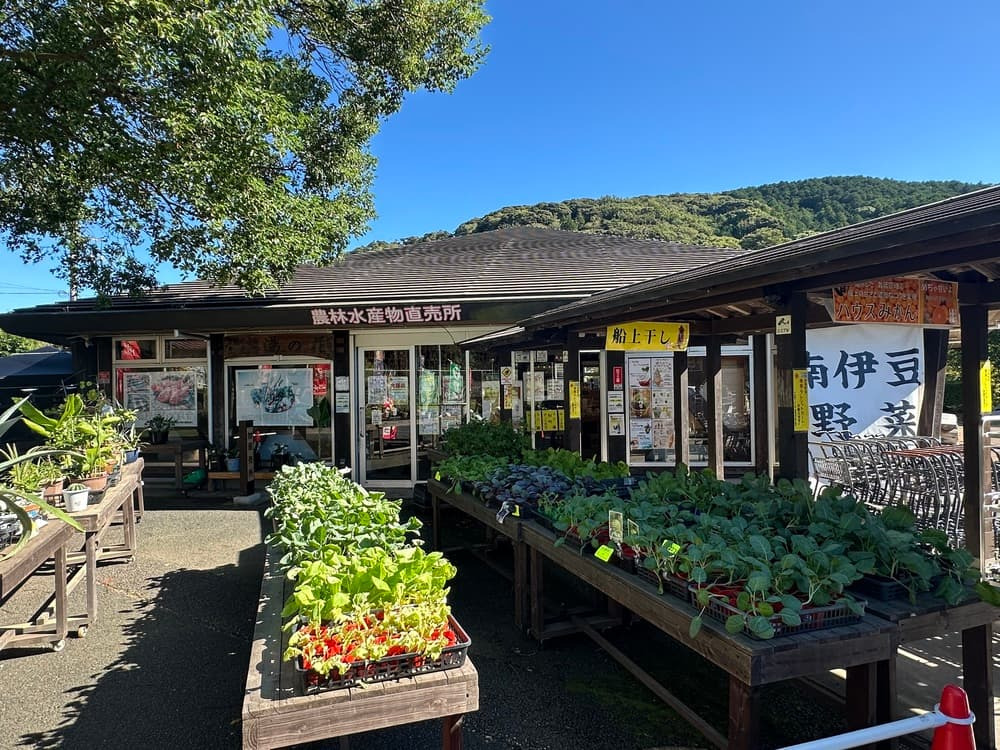 野菜苗から歴史ある名菓まで。南伊豆の旅を広げる寄り道