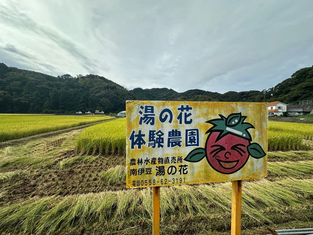 里山の風景を未来へつなぐ。「MY田んぼ」で体験する農と食の循環